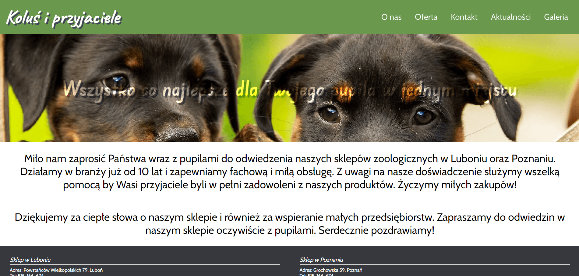 Brak zdjęcia dla domeny kolusiprzyjaciele.pl